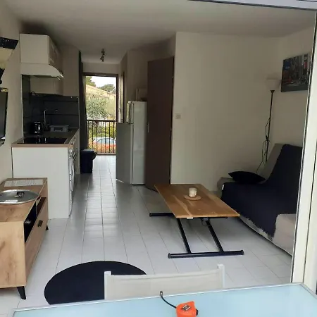 D'une Avec Piscine Partagee Et Terrasse Amenagee A A 2 Km De La Агд